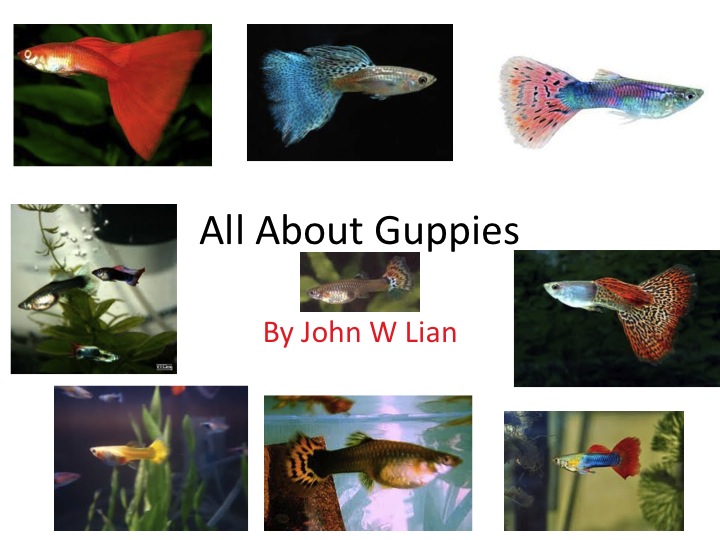 This page of the book can not be shown.