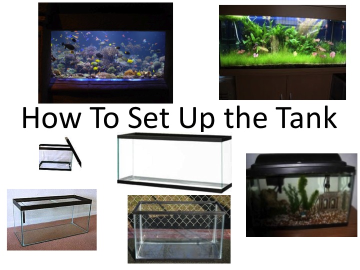 This page of the book can not be shown.