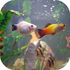 This image can not be shown.