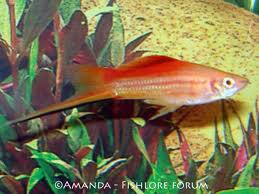 This image can not be shown.