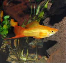 This image can not be shown.