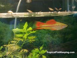 This image can not be shown.