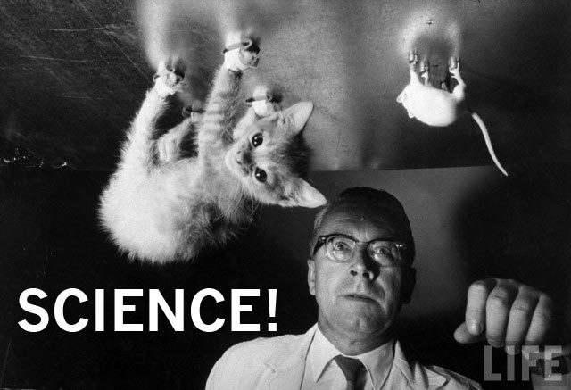 science cat