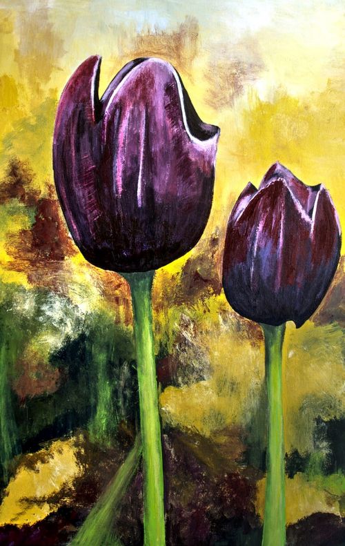 purple-tulips